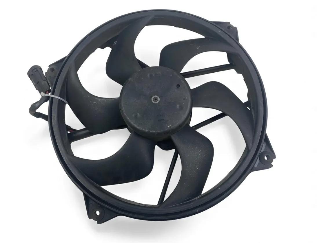 CITROËN C4 1 generation (2004-2011) Radiator fan 33338060