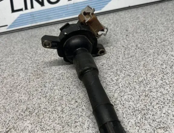 BMW 5 Series E39 (1995-2004) Augstsprieguma aizdedzes spole 1748017 33765284