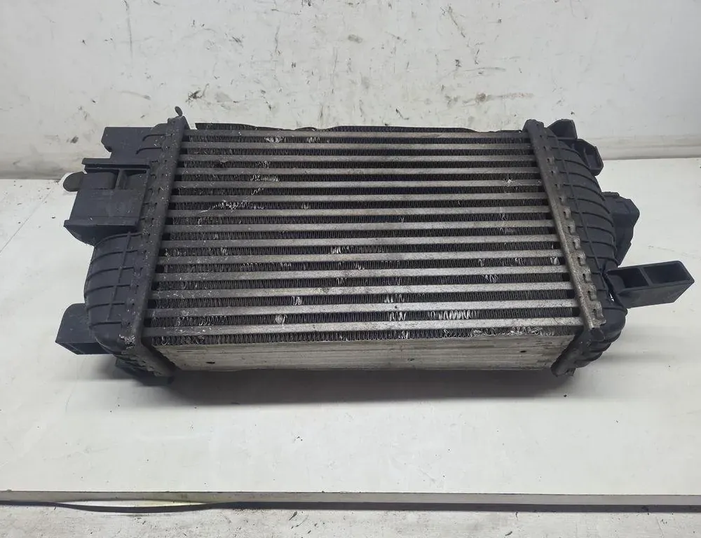 OPEL Meriva 2 generation (2010-2020) Starpdzesētāja/interkūlera radiators 560961104 33242727