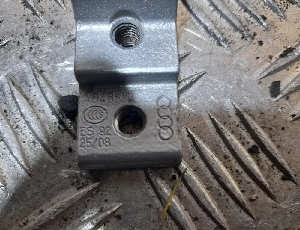 AUDI A6 C6/4F (2004-2011) Задний левый дверной шарнир A046573 33408133