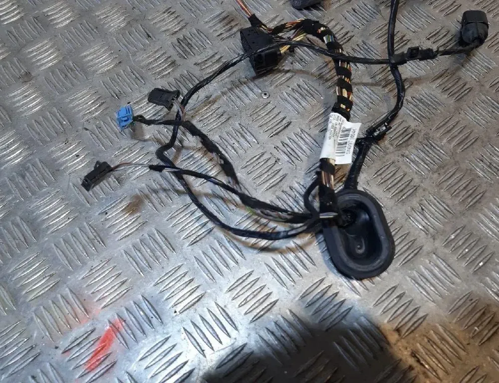 VOLKSWAGEN Tiguan 1 generation (2007-2017) Aizmugurējo labo durvju elektroinstalācija 33412084