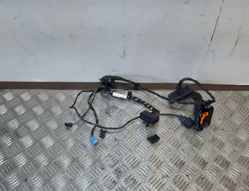 VOLKSWAGEN Tiguan 1 generation (2007-2017) Aizmugurējo labo durvju elektroinstalācija 33412084