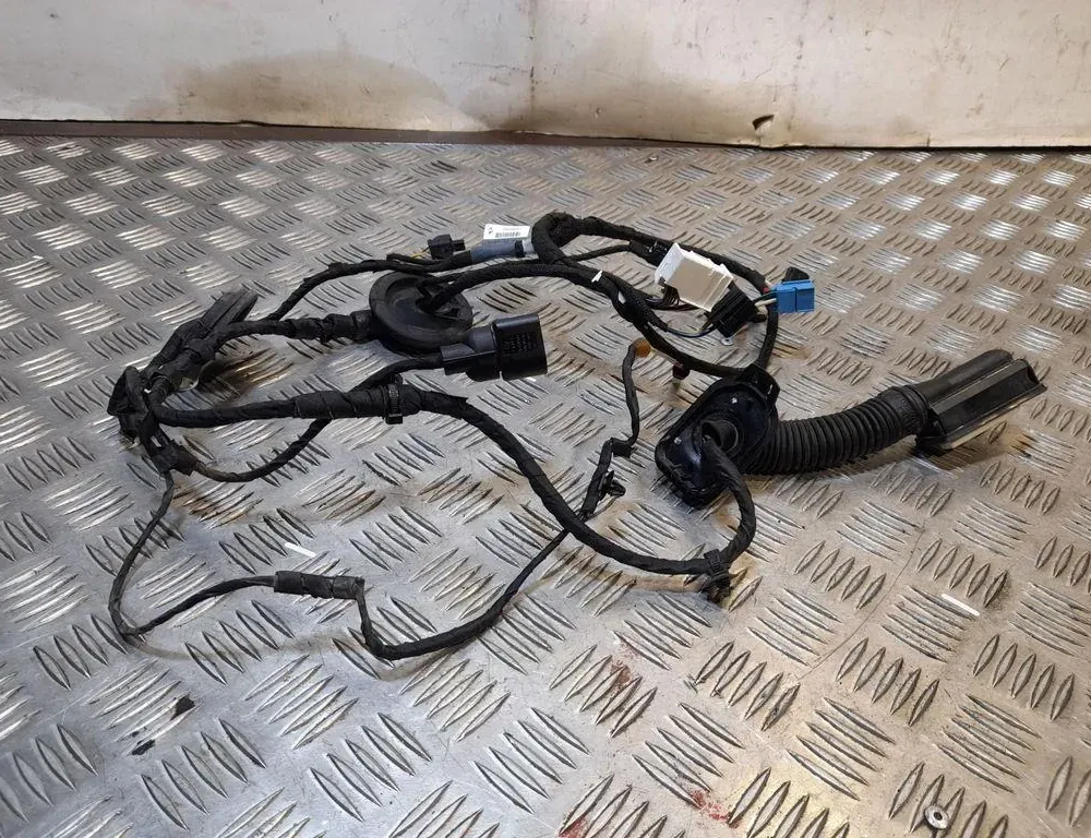 AUDI A4 B9/8W (2015-2024) Дверные кабели спереди справа 8W0971029AK 33419853