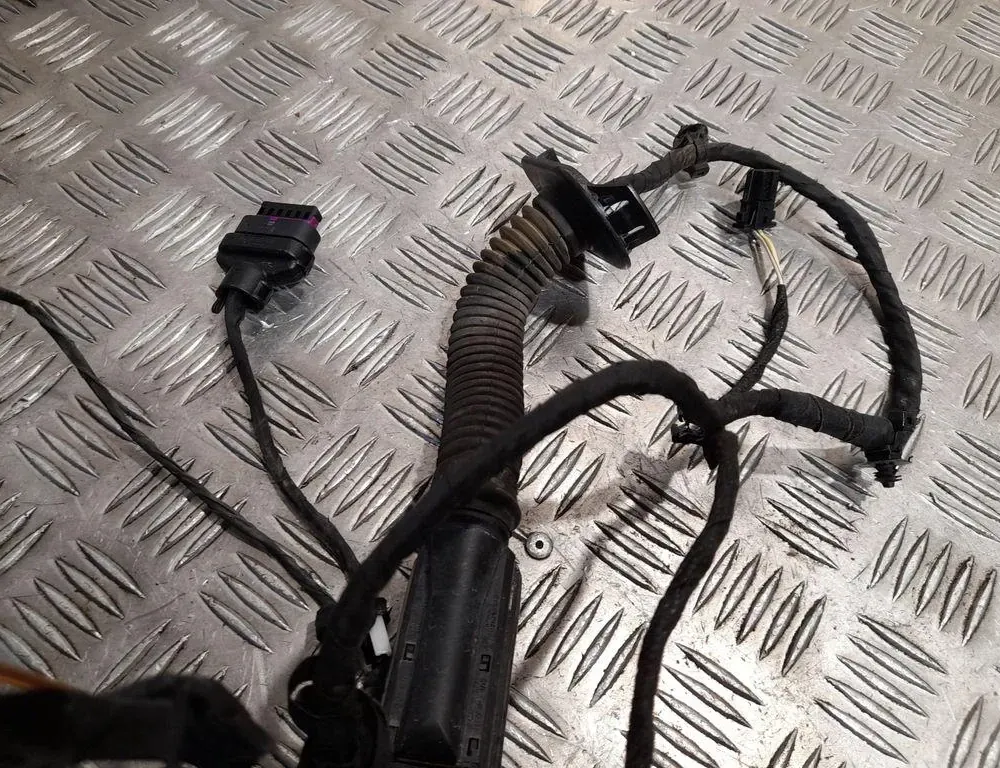 AUDI A4 B9/8W (2015-2024) Дверные кабели спереди справа 8W0971030AK 33419891