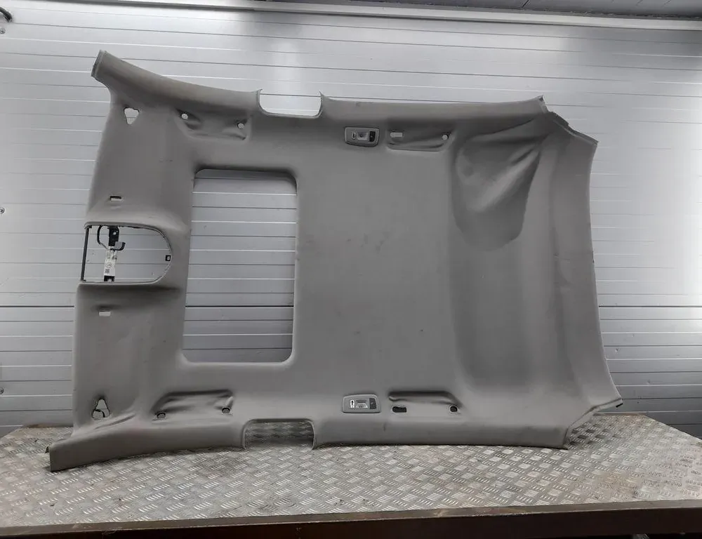 PORSCHE Panamera 970 (2009-2016) Roof Paneling 97055519732 33425773