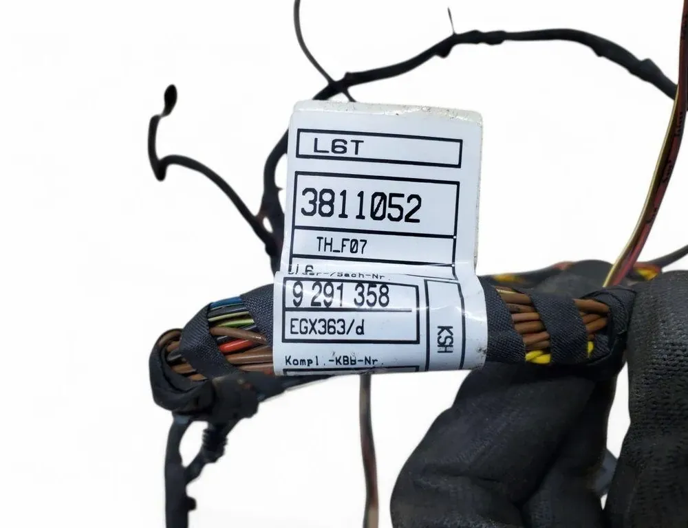 BMW 5 Series Gran Turismo F07 (2010-2017) Дверные кабели задние  правые 9291358 33452612