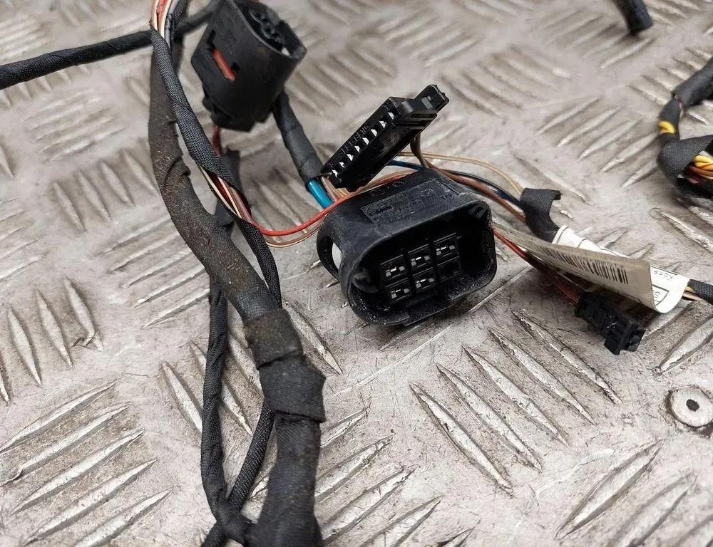 BMW 5 Series F10/F11 (2009-2017) Rear Left Door Wiring 9256017 33487121