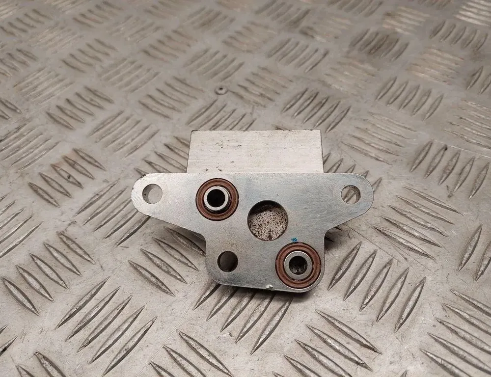 VOLKSWAGEN Tiguan 2 generation (2016-2024) Termostats 09P317027B 33487568