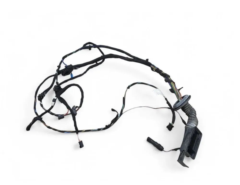 BMW 3 Series F30/F31 (2011-2020) Дверные кабели спереди справа 9313651 33489791