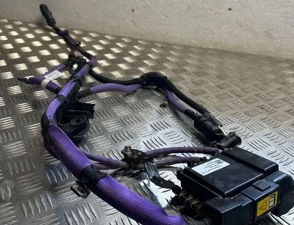 BMW 3 Series G20/G21/G28 (2018-2024) Жгут проводов 8791075 33147507