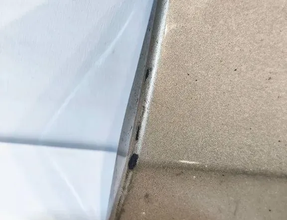 RENAULT Kangoo 2 generation (2007-2021) Молдинг передней левой двери 8200930275 33266583