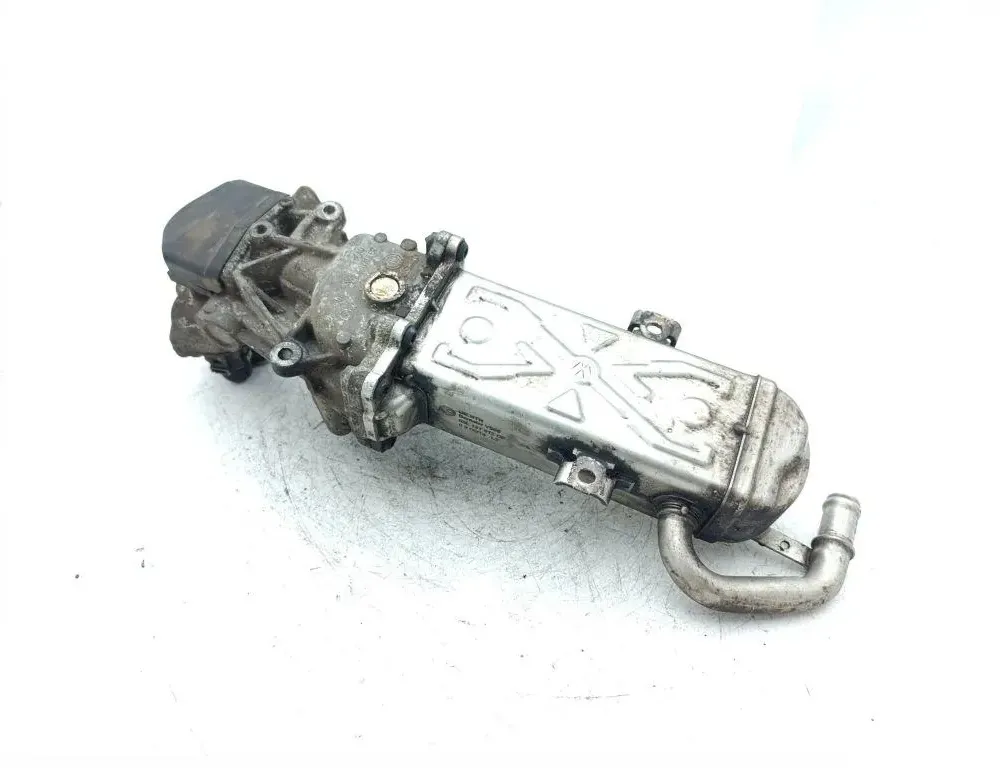 VOLKSWAGEN Caddy 3 generation (2004-2015) Охладитель Eгр 4040,03L131512C 33269232