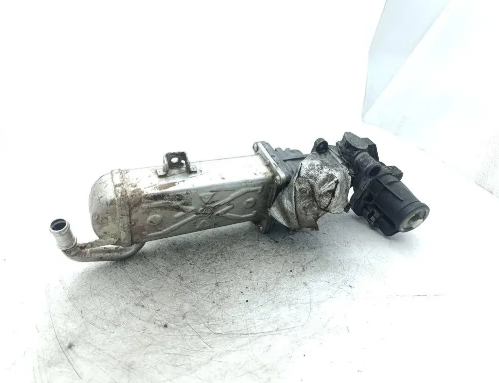 VOLKSWAGEN Caddy 3 generation (2004-2015) Охладитель Eгр 03L131512BL 33269267