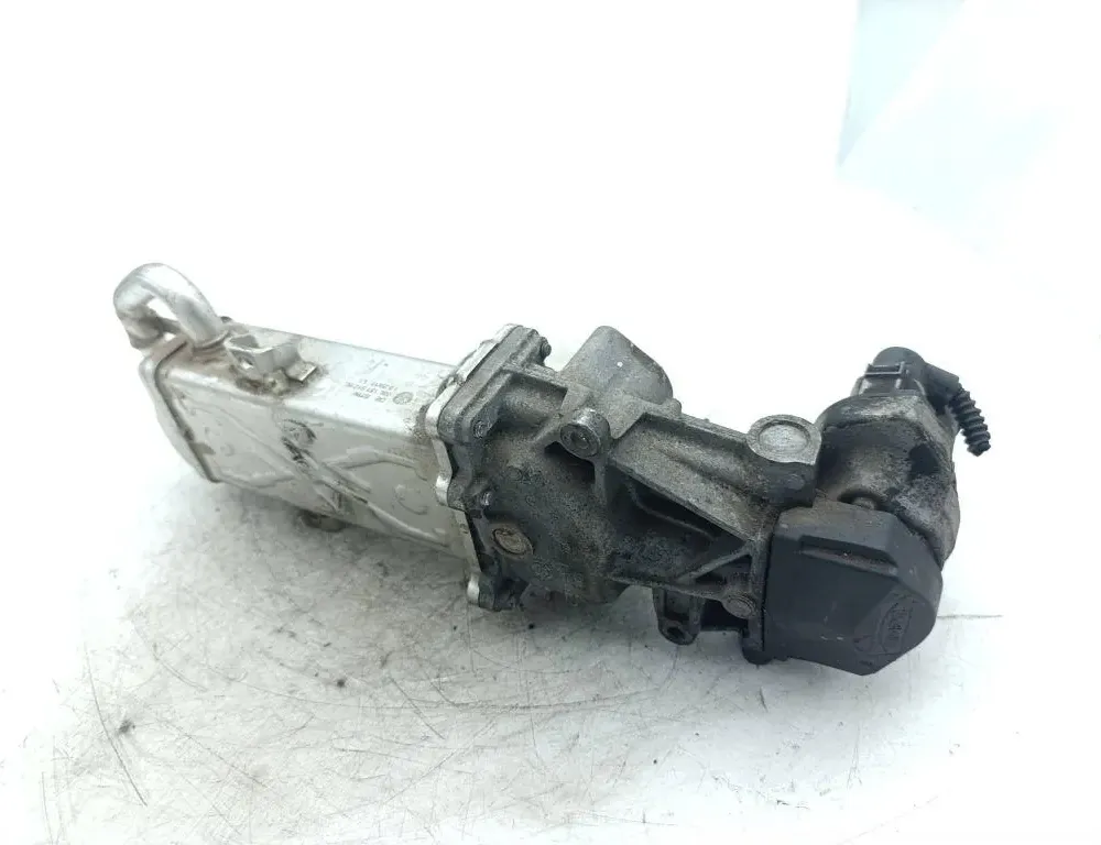 VOLKSWAGEN Caddy 3 generation (2004-2015) Охладитель Eгр 03L131512BL 33269267