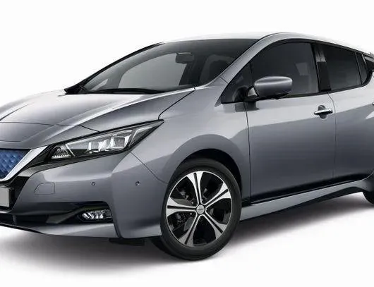 NISSAN Leaf 2 generation (2017-2023) Elektriskais stūres pastiprinātājs L10274948C,308274948C,320105SH5F 24282071