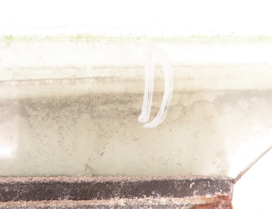 DAF XF (2012-present) Стекло боковых левых дверей 33711254