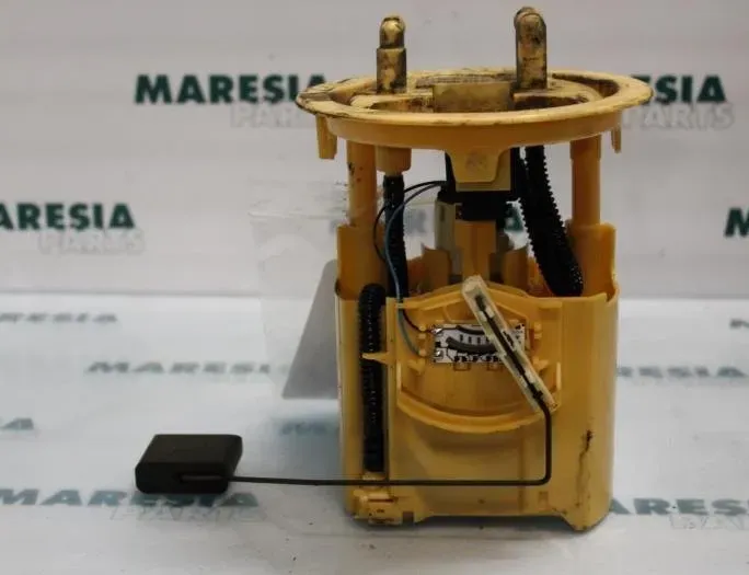 PEUGEOT 206 1 generation (1998-2009) Degvielas sūknis 1607402080,1525Y3,9642124380 26987479