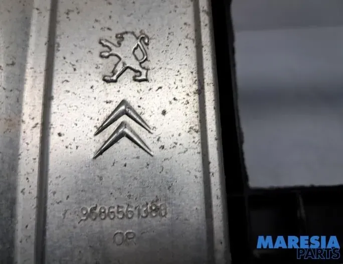 CITROËN C4 Cactus 1 generation (2014-2024) Другие кузовные детали 9676534880,9686561380,9809083080,009676534880 33531194