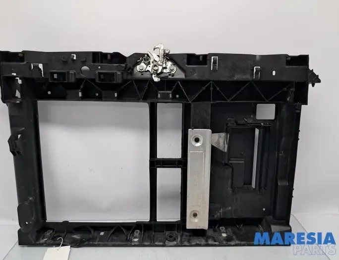 CITROËN C4 Cactus 1 generation (2014-2024) Другие кузовные детали 9676534880,9686561380,9809083080,009676534880 33531194