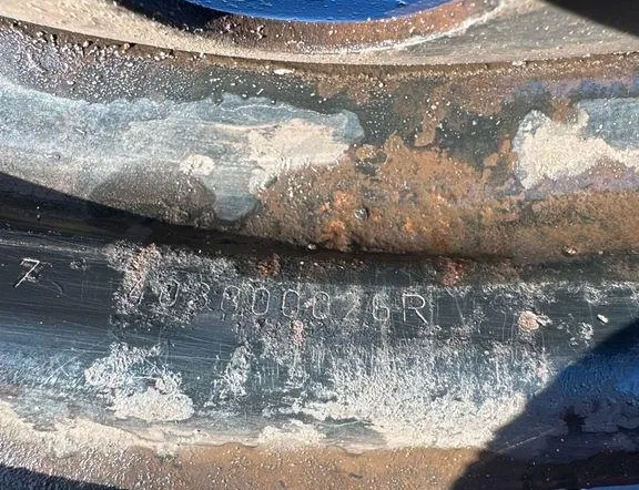 RENAULT Megane 2 generation (2002-2012) Ritenis 403000026R 34181129