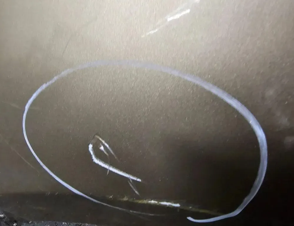 MERCEDES-BENZ B-Class W245 (2005-2011) Бампер передний A1698890763 33577364