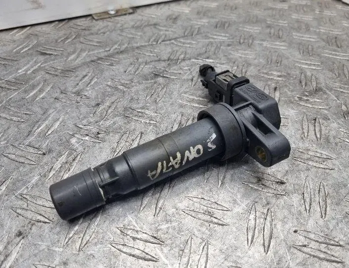 HYUNDAI Sonata 4 generation (1998-2012) Augstsprieguma aizdedzes spole 273013C000 24164175