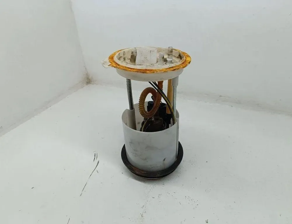 VOLKSWAGEN Golf 8 generation (2019-2023) Degvielas sūknis degvielas tvertnē 1K0919051BG 31898648