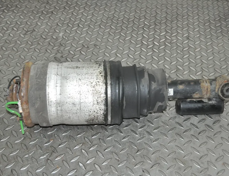 LAND ROVER Range Rover Sport 1 generation (2005-2013) Задний левый пневмо амортизатор 22260147 3619840