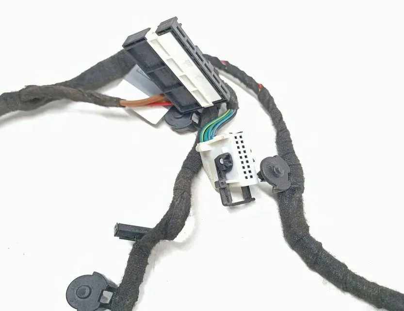 BMW 7 Series E65/E66 (2001-2008) Rear Left Door Wiring 6918763 33684191
