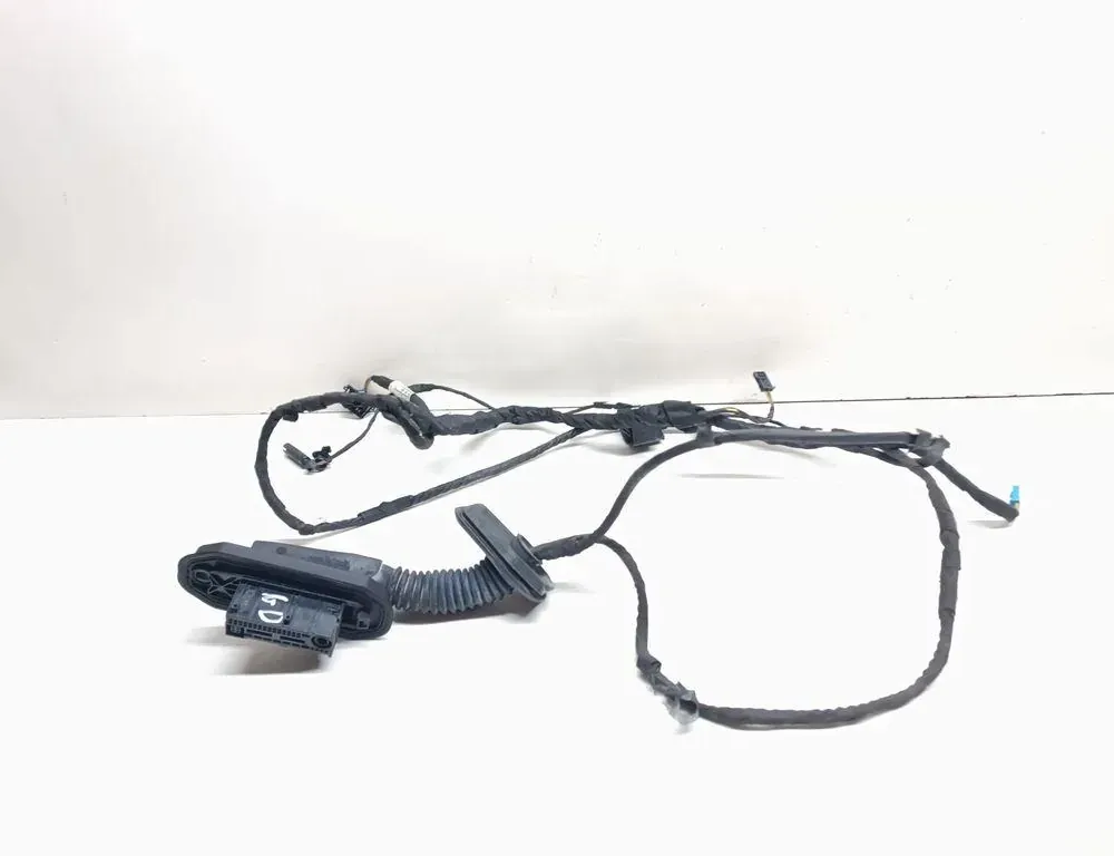 BMW 5 Series F10/F11 (2009-2017) Rear Right Door Wiring 9291064 33690347