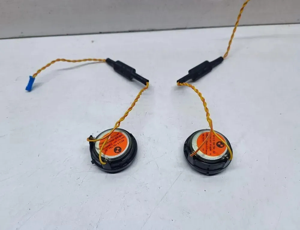 BMW 5 Series F10/F11 (2009-2017) Priekšējo labo durvju skaļrunis 9184794 33690524