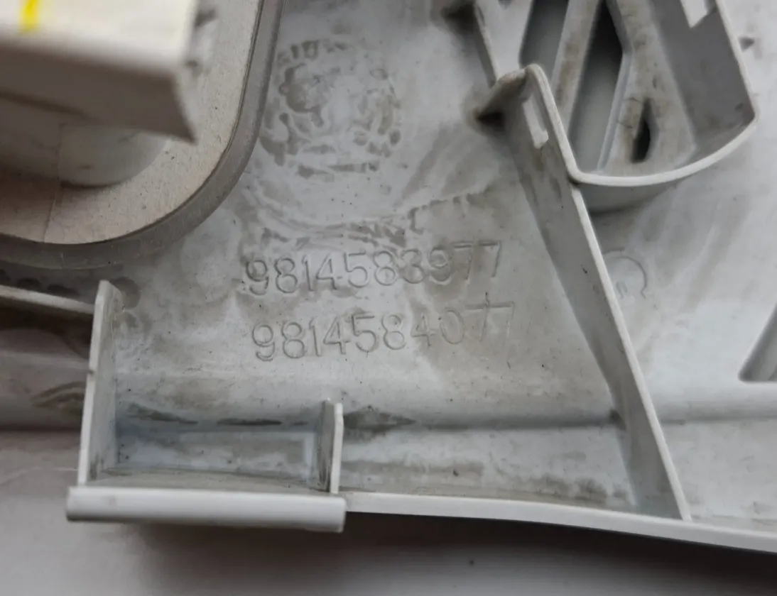 PEUGEOT 3008 2 generation (2017-2023) Освещение салона 9825946880,96781446PR,9814588977 33557430