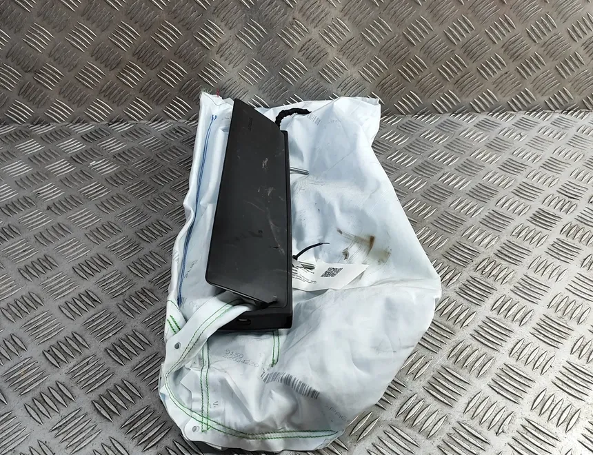 PORSCHE Taycan 1 generation (2019-2023) Подушка безопасности для колен 9J1880842E 31802707