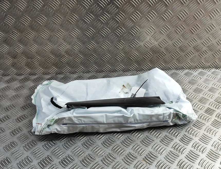 PORSCHE Taycan 1 generation (2019-2023) Подушка безопасности для колен 9J1880842E 31802707