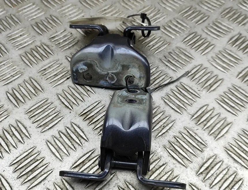 HYUNDAI Tucson 3 generation (2015-2021) Комплект петель левой задней двери 79410-3K000,79310-2E000 33104524