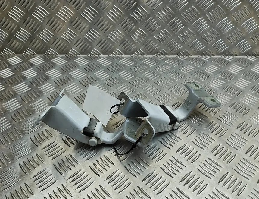 MERCEDES-BENZ Citan W415 (2012-2021) Комплект петель левой задней двери A4157400237,A4157400137 33151202