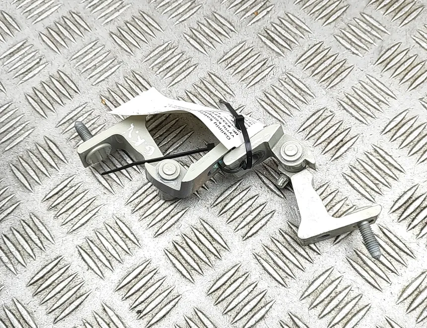 Cupra Комплект петель левой задней двери 8W0831403A,8X4833405A,8X4833407A 33327195