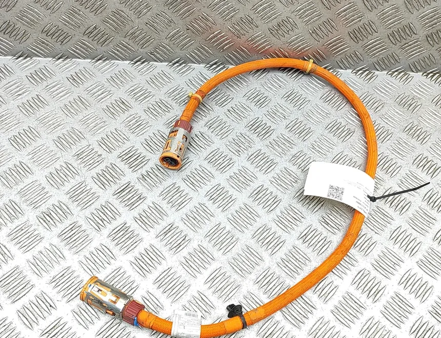 BMW iX3 1 generation (G08) (2020-2024) Cable Harness 5A0DED3,5A0DDA9 33338897