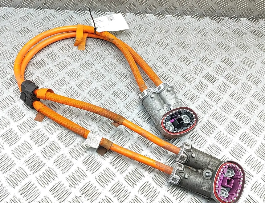 BMW iX3 1 generation (G08) (2020-2024) Жгут проводов двигателя 5A35E05,5A35D03 33338898