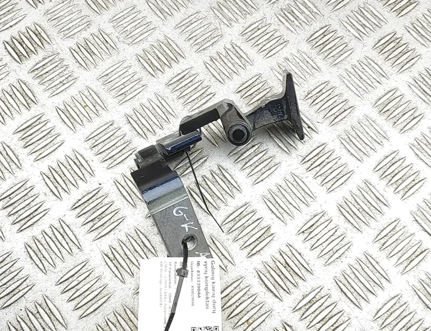 BMW iX3 1 generation (G08) (2020-2024) Комплект петель левой задней двери 7397383,7397385 33339044