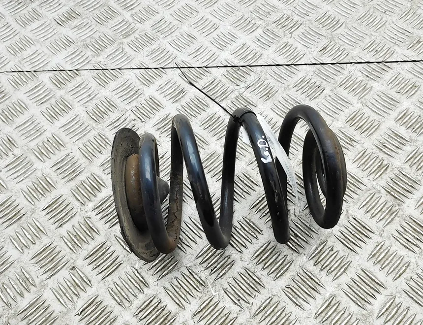 BMW Z4 E85 (2002-2009) Aizmugurējā labā amartizātora atspere 6760604 33364039