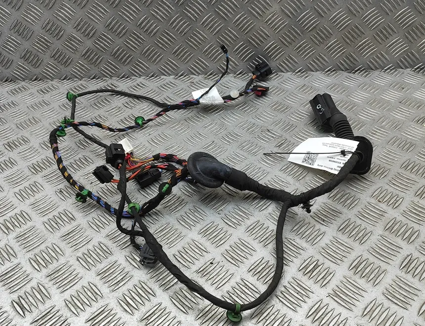 PORSCHE Taycan 1 generation (2019-2023) Дверные кабели задние  правые 9J1971693E 33596526