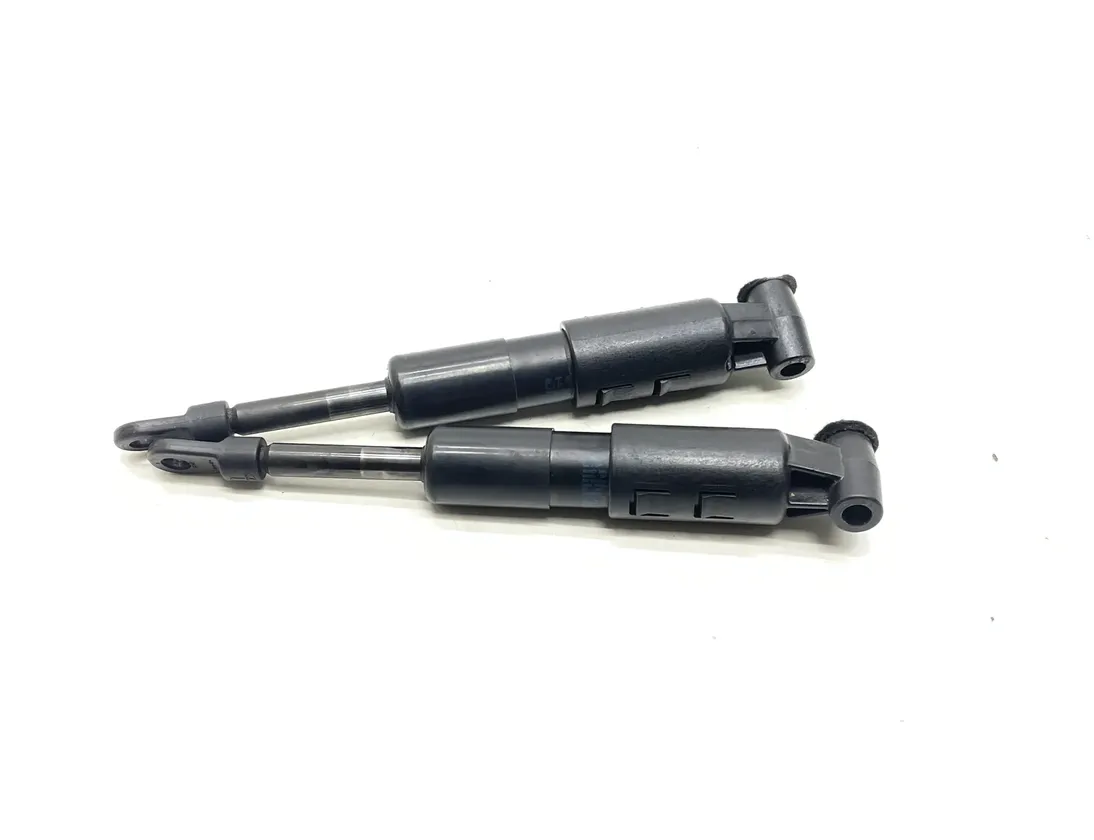 JAGUAR XK X150  (2005-2014) Shock absorber set 6945WW0900N 33560413