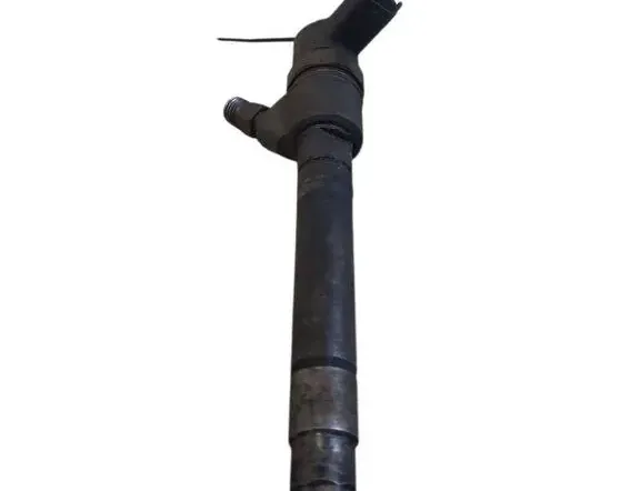 VOLVO V70 3 generation (2007-2020) Fuel Injector 0445110298 33351223