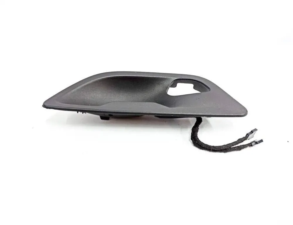 BMW 5 Series F10/F11 (2009-2017) Durvju apdares panelis 34315055