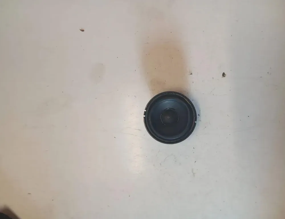 BMW X6 E71/E72 (2008-2012) Звуковой динамик приборной панели 4913430056,6938657 33124891