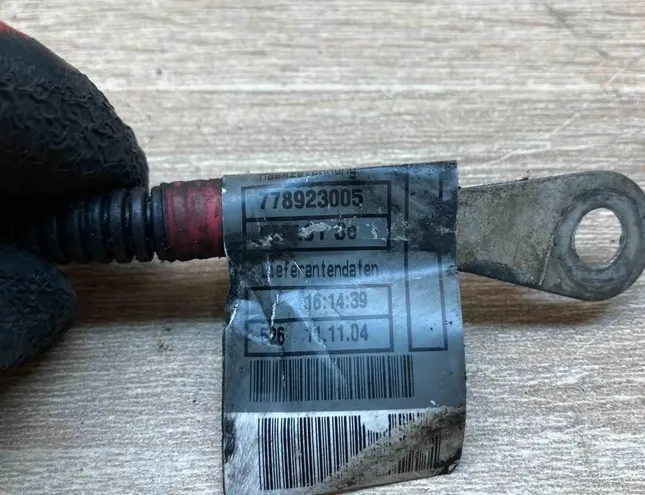 BMW X5 E53 (1999-2006) Interior wiring harness (right) 7789230 34403517