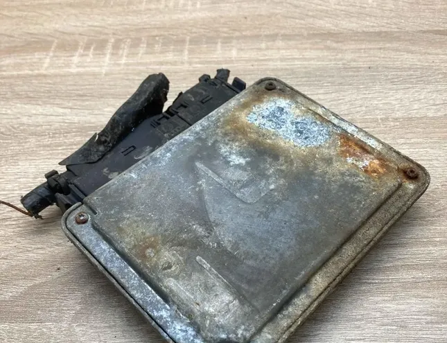 SEAT Ibiza 2 generation (1993-2002) Motora vadības bloks 038906018FB,0281010006 34380236