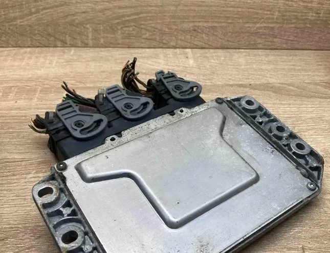 RENAULT Megane 1 generation (1995-2003) Motora vadības bloks 8200242405,215840297A,WithPlug 34395974