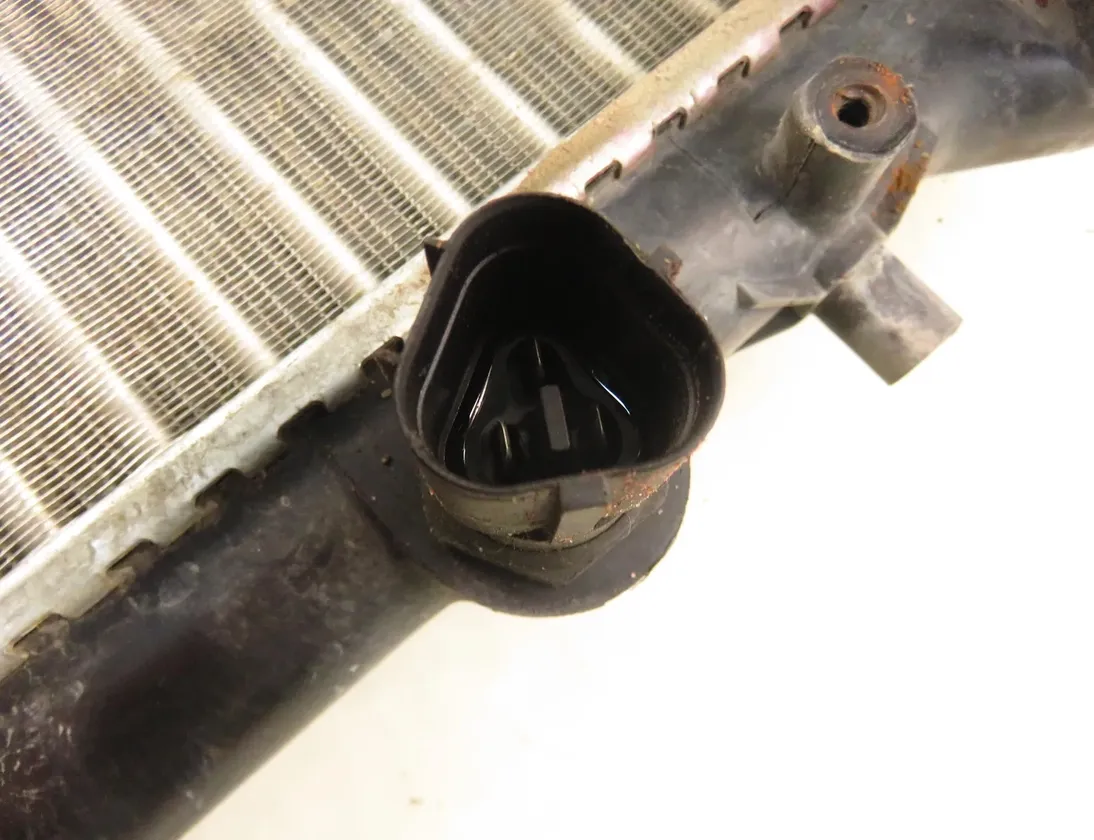 SEAT Leon 1 generation (1999-2005) Охлаждающий радиатор 652011 33583055